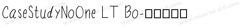 CaseStudyNoOne LT Bo字体转换